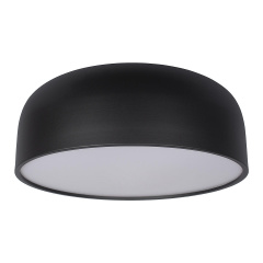 Светильник потолочный Loft It Axel 10201/480 Black