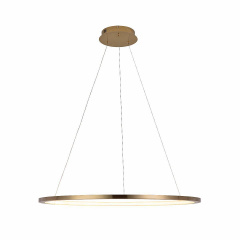 Светильник подвесной Loft It Ring 10014L
