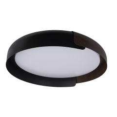Светильник потолочный Loft It Coin 10198 Black