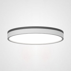 Светильник потолочный ImperiumLoft Kier01 181020-26