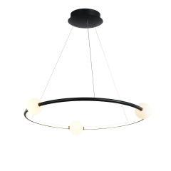Подвесной светильник Delight Collection MD190001035-1B black