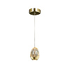 Картинка - Подвесной светильник Delight Collection MD13003023-1A gold
