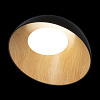 Картинка - Светильник потолочный Loft It Egg 10197/500 Black