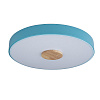 Картинка - Светильник потолочный Loft It Axel 10003/24 Blue