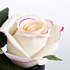 Картинка - Диффузор ароматический Rose Bud Pink