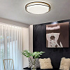 Картинка - Светильник потолочный ImperiumLoft Vedum01 141123-26