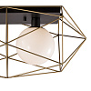 Картинка - Потолочный светильник Delight Collection MX8525-2A gold/black