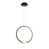Картинка - Подвесной светильник Delight Collection MD19001035-1E black