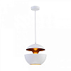 Картинка - Светильник подвесной Loft It Apple LOFT2213-A