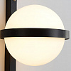 Картинка - Настенный светильник Delight Collection 10228W1 black