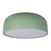 Картинка - Светильник потолочный Loft It Axel 10201/480 Green