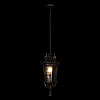 Картинка - Уличный подвесной светильник Loft It Verona 100003P
