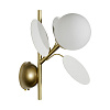 Картинка - Настенное бра Loft It Matisse 10008/1W white