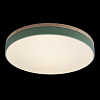 Картинка - Светильник потолочный Loft It Axel 10001/36 Green