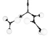 Картинка - Люстра на штанге Loft It Palmira 10191/8 Black