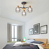 Картинка - Потолочная люстра ImperiumLoft Corf-B01 189478-26