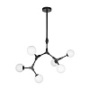 Картинка - Люстра на штанге Loft It Palmira 10191/6 Black
