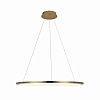 Картинка - Светильник подвесной Loft It Ring 10014L