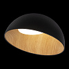 Картинка - Светильник потолочный Loft It Egg 10197/500 Black
