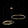 Картинка - Светильник подвесной Loft It Ring 10017/3M