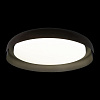 Картинка - Светильник потолочный Loft It Coin 10198 Black