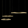 Картинка - Светильник подвесной Loft It Ring 10017/3L