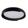 Картинка - Светильник потолочный Loft It Coin 10198 Black