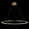 Картинка - Светильник подвесной Loft It Ring 10014XL