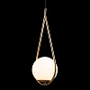 Картинка - Светильник подвесной Loft It Glob LOFT2599-A