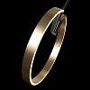 Картинка - Торшер Loft It Ring 10027