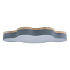 Картинка - Светильник потолочный Loft It Axel 10005/36 Grey