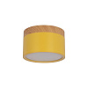 Картинка - Накладной светильник Loft It Grape 10162 Yellow
