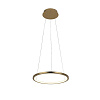 Картинка - Светильник подвесной Loft It Ring 10014S