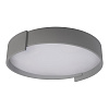 Картинка - Светильник потолочный Loft It Coin 10200 Grey