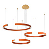 Картинка - Подвесная люстра Loft It Ring 10025/3 Orange