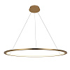 Картинка - Светильник подвесной Loft It Ring 10014L