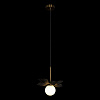 Картинка - Светильник подвесной Loft It Monro 10213/B Black