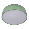 Картинка - Светильник потолочный Loft It Axel 10201/480 Green