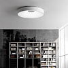 Картинка - Светильник потолочный ImperiumLoft Ecla01 101547-26