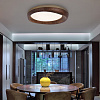 Картинка - Светильник потолочный ImperiumLoft Runis01 219476-26