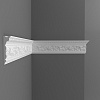 Картинка - D225B/14 Плинтус(110*29*2000 мм)