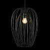 Картинка - Светильник подвесной Loft It Deseno 10031 Black