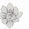Картинка - Декор настенный "Цветок ажурный"