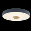 Картинка - Светильник потолочный Loft It Axel 10003/24 Grey