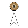 Картинка - Торшер Delight Collection Studio black/gold