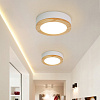 Картинка - Светильник потолочный ImperiumLoft Wudda01 179762-26