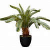 Картинка - Пальма Cycas искусственная в горшке 29BJ-JF9376