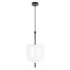 Картинка - Светильник подвесной Loft It Venice 10223/D White