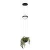 Картинка - Светильник подвесной Loft It Jardin 10121/B