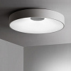 Картинка - Светильник потолочный ImperiumLoft Ecla01 101547-26